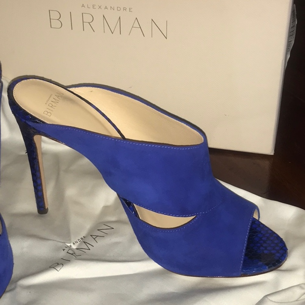 Alexandre Birman Python Mules - image 1